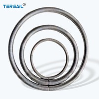 Ressort d'étanchéité en acier inoxydable 304, 301, 316 ressort hélicoïdal, diamètre du fil 0.1/0.15/0.2, ressort de traction