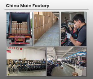 Bicicleta Eléctrica Personalizada OEM de 7 Velocidades, 48v, Neumáticos Gruesos, Estilo Playa, Frenos Hidráulicos de 52V, 26 Pulgadas, Hummer, 750W - Product Image 6