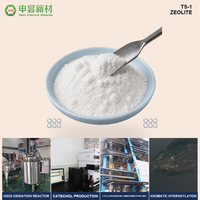 Catalizador de Zeolita TS-1 para la Hidroxilación de Fenol, Producción de Catecol e Hidroquinona, Oxidación de H2O2, Catalizador de Zeolita MFI