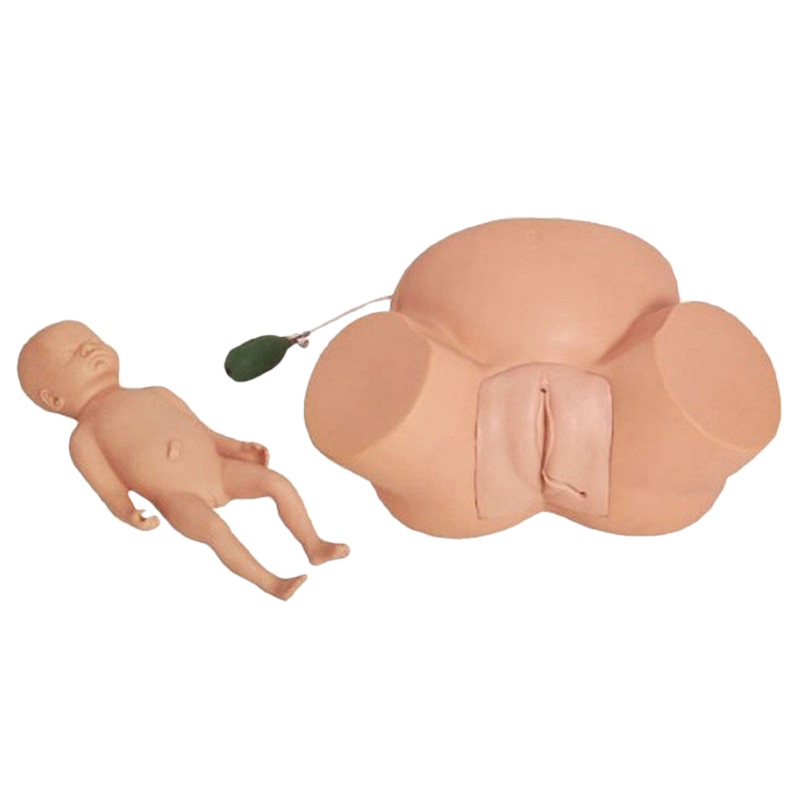 Медицинская модель для обучения Midwifery, модель сложного труда, улучшенный симулятор Dystocia