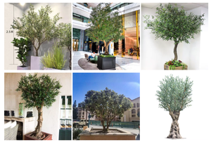 Décor d'intérieur de restaurant à <span class=keywords><strong>prix</strong></span> d'usine 4m de grands arbres ornementaux artificiels <span class=keywords><strong>olivier</strong></span> artificiel - Product Image 6