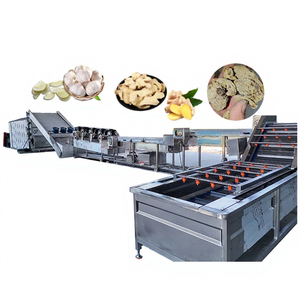 Séchoir à bande continue en maille avec PLC Ti pour la déshydratation des aliments (gingembre, ail, curcuma, légumes) - Machine de déshydratation industrielle - Product Image 1