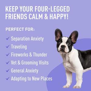 טיפת שמן שולי הסיטונאי לכלבים וחתולים תוסף שמן לחיות מחמד עם ויטמין להקל על חרדה ומתח - Product Image 4