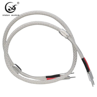 Conducteur YIVO plaqué argent OCC pour un timbre délicat et propre avec des aigus et des basses prononcés, performance sonore HIFI pure OEM ODM