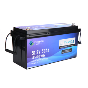 Güvenilir güç uzun ömürlü deniz lityum pil 48V derin döngüsü elektrikli gemi vinci Motor pil 51.2V 50Ah - Product Image 3