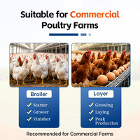Prémélange vitaminique pour poules pondeuses, additif alimentaire pour la production d'œufs, nutrition