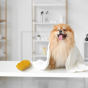 Brosse à shampooing en silicone pour cheveux longs et courts Outils durables pour animaux de compagnie de taille moyenne pour chiens chats douche brosse à curry - Product Image 6