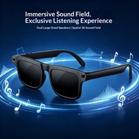 Lunettes Intelligentes BW300 : Traduction IA, Assistant Vocal, Contrôle Musique et Appels, Lunettes de Soleil Sport UV400, Caméra HD Intégrée
