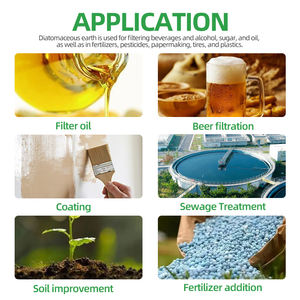 고품질 소성 규조토 단열 원료 광물 규조토 분말 수입업체 여과 보조제 - Product Image 5