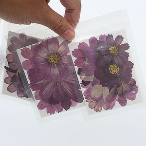 M044 Whole Sale Mixed Dry Purple Cosmos Pressed <strong>Flowers</strong> Natural Real Dried <strong>Flower</strong> <strong>Press</strong> for Wedding Card Making Mother's Day - Product Image 1