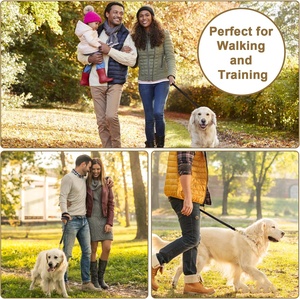Collar de <span class=keywords><strong>perro</strong></span> de cuero vegano de lujo acolchado de neopreno grueso al por mayor italiano <span class=keywords><strong>Collier</strong></span> en Cuir pour chien - Product Image 5