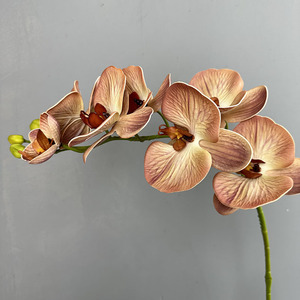 Chất Lượng Cao Handmade 7 Đầu Mềm PVC Bướm Hoa Lan Nhân Tạo Bất Cảm Ứng Phalaenopsis Hoa Lan Cho Đám Cưới Trở Lại Trường Học Nhà - Product Image 6