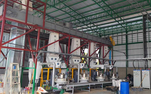 Dây Chuyền Sản Xuất Hoàn Chỉnh Viên Gỗ - Product Image 5