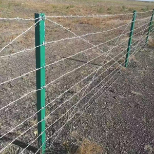 <span class=keywords><strong>Alambre</strong></span> <span class=keywords><strong>de</strong></span> <span class=keywords><strong>Púas</strong></span> Trenzado <span class=keywords><strong>de</strong></span> Doble Hilo, Rollo <span class=keywords><strong>de</strong></span> 500 <span class=keywords><strong>Metros</strong></span>, Cuerda Anti-escalada para Cercas Agrícolas - Product Image 2