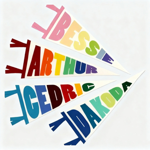 Tim olahraga kelas sekolah sublimasi logo kustom warna-warni ukuran merasa bendera segitiga dan Panji - Product Image 3