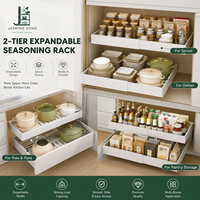 Organisateur de placard à 2 niveaux extensible, étagère de rangement de cuisine pour casseroles, épices, bocaux, bouteilles et articles de garde-manger