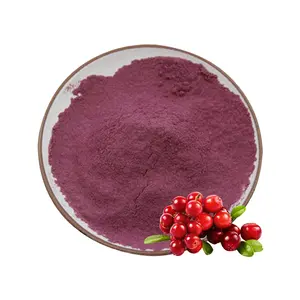 Nhà Máy Giá proanthocyanidins 10% Cranberry chiết xuất cho phụ nữ và nam giới