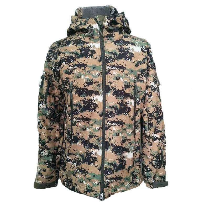 Multicolore1