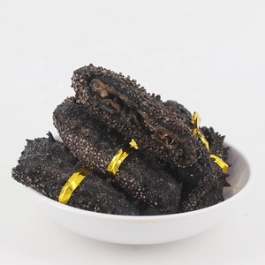 Dưa Chuột biển chất lượng tốt khô dưa chuột biển trepang bán buôn Chất lượng cao ngon - Product Image 4