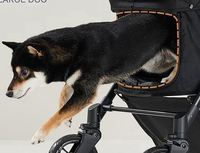Poussette pour animaux de compagnie, échantillon gratuit, pour chiens jusqu'à 66 lbs, poignée réglable, capote 180°, 4 roues pour chiens et chats de taille moyenne/grande