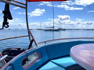 Bateau à pédales électrique en HDPE pour location, moteur Yamaha à essence, barbecue, bateau flottant rond avec lit rembourré pour complexe hôtelier - Product Image 4