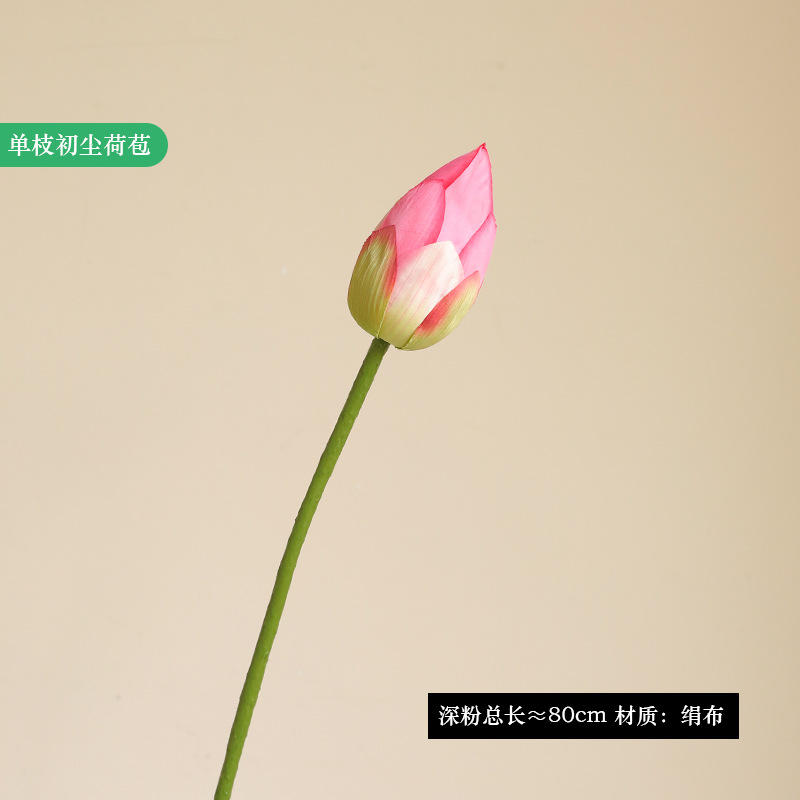 Polvo profundo de capullo de loto