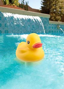 Nhiệt kế động vật dễ thương hồ bơi nổi hồ bơi BN vịt - Product Image 4