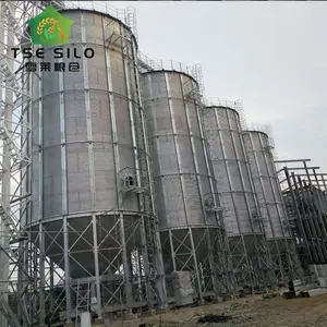 Fabricante OEM Silo de aço granulado em grande escala com sistema de transporte