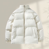 Vestes en duvet pour hommes en gros d'usine, logo personnalisé, imperméables, coupe-vent, chaudes et décontractées pour l'hiver