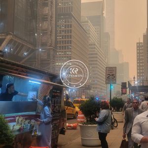 Remolque de Comida Rápida 2025 OEM, Cocina Móvil para Hot Dogs, Pizza, BBQ, Camión de Comida de Acero Inoxidable con Cocina Completa - Product Image 3