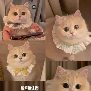 Pet scarf, bib, dog bib, cat scarf, teddy <b>bear</b> princess <b>cute</b> plaid bow thin style - Product Image 1