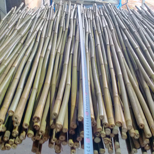 All'ingrosso canne/pali/pali/pali di bambù crudi pali di bambù canne di bambù giganti partizioni di bambù decorazione e costruzione della casa - Product Image 1