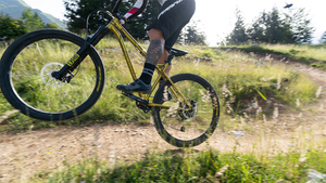 Nhôm Cuộn Dây Mùa Xuân 100Mm Du Lịch Treo Ngã Ba Leo Núi Xe Đạp Xe Đạp Phía Trước Ngã Ba 26 Inch - Product Image 4