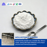 Poudre de Wollastonite Ultrafine 1250 Mesh, Remplissage Minéral Blanc pour Matériaux de Friction et Plaquettes de Frein