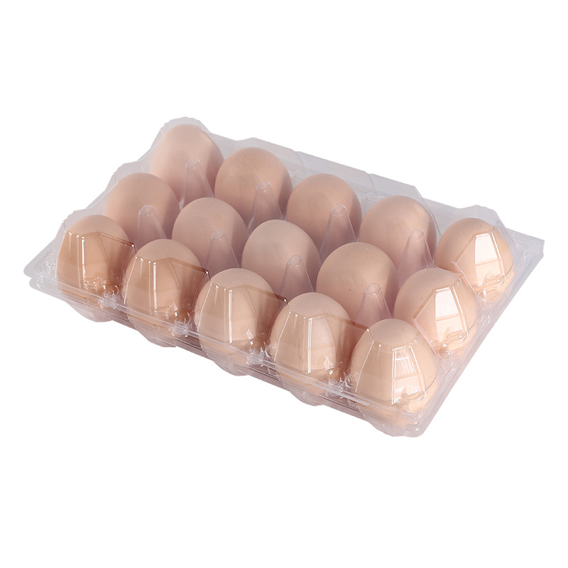 Blank 12-Egg Flat Top Style Paper-Pulp Compostable Egg Carton