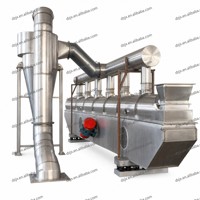 Sécheur à lit fluidisé vibrant DZJX avec contrôle automatique de la température pour engrais composés, poudres d'acides aminés et de vitamines, granulés