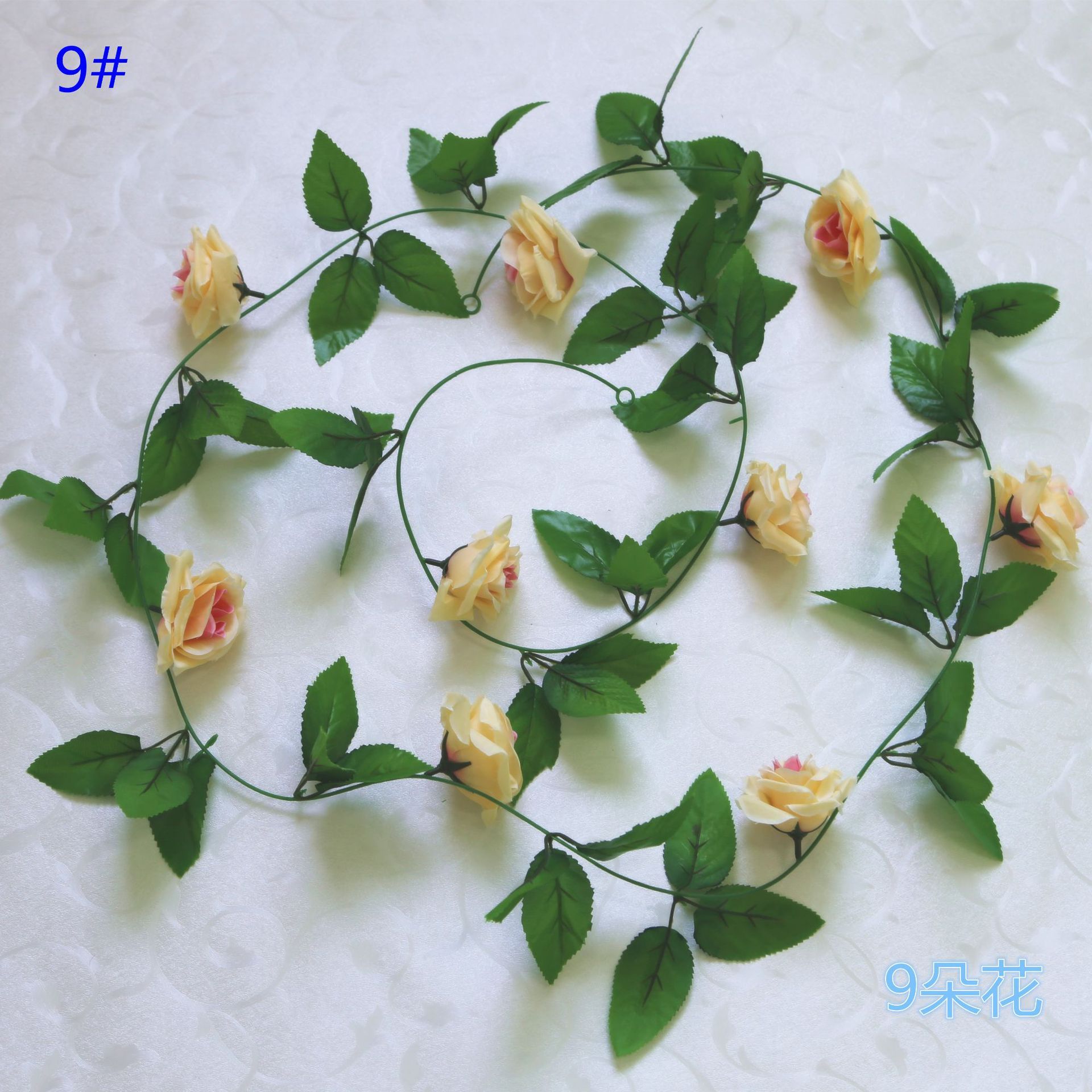 9 แชมเปญ