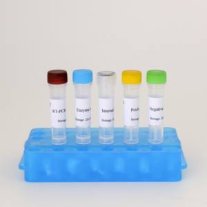 PRRSV-U 핵산 검출 키트 (동결 건조 실시간 형광 PCR) - Product Image 2