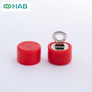 HABブランド BDSM ステンレス製 マグネットロック 耐久性のあるデザイン 2年間保証 男女兼用 医療用拘束ベルト 強力な鍵付き - Product Image 5