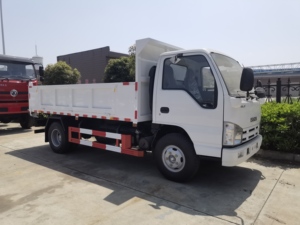 Xe tải DIESEL 4x2 mới với 120 HP cho cát và sỏi tải và dỡ hàng số lượng lớn phân khúc xe tải nặng với tay lái bên trái - Product Image 6