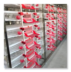 Otomatik gübre sökücü katman kafesleri ile bıldırcın çiftliği için 10000 kuş kafesi tasarımı - Product Image 5