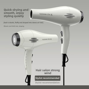 <span class=keywords><strong>Secador</strong></span> <span class=keywords><strong>de</strong></span> <span class=keywords><strong>Pelo</strong></span> <span class=keywords><strong>de</strong></span> Alta Potencia con Luz Azul e Iones Negativos, a Batería, para Uso en Casa, Hotel y Salón, Aire Frío/Caliente, Venta al Por Mayor del Fabricante - Product Image 2