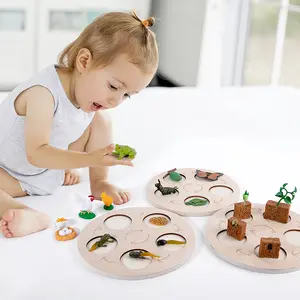 Детские деревянные игрушки Монтессори, 3D пазл, жизненный цикл животных, Бабочка, Цыпленок, лягушка, растение