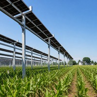 Système de montage solaire au sol agrivoltaïque sur terres agricoles avec structure de support photovoltaïque pour fermes