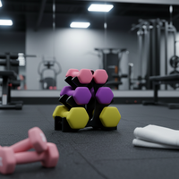 Ensemble d'haltères hexagonales en caoutchouc pour l'entraînement des bras des femmes - Multicolore, poids de gym à domicile personnalisés, prix direct usine