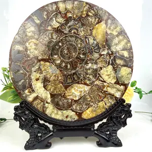 Ornement original de dalle de guérison en pierre d'ammonite de pierre brute naturelle en gros pour la décoration
