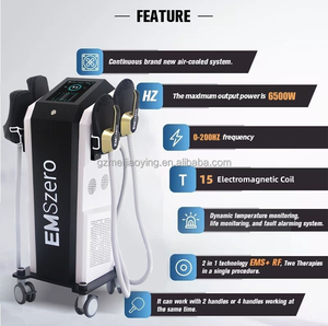 Newest 6000 Watt EMBody Shaping Fat Reducing Machine Fat Burning Cellulite Removeal 4 Handles Machine - Product Image 6