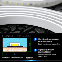 Bande lumineuse LED industrielle en silicone 24V pour usage minier, conception IC à courant constant, étanche IP68 avec Wi-Fi et fonction de gradation