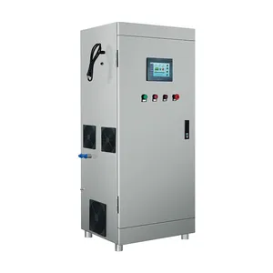 Wasser aufbereitung für die Lebensmittel verarbeitung 50g 100g SPS-Steuerung Ozon generator mit Sauerstoff zufuhr