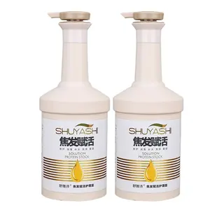 Manufacturer Wholesale Anti Hair Loss Damaged Hair Treatment Restoration and Conditioner Combination 2 in 1 With Smooth Shine